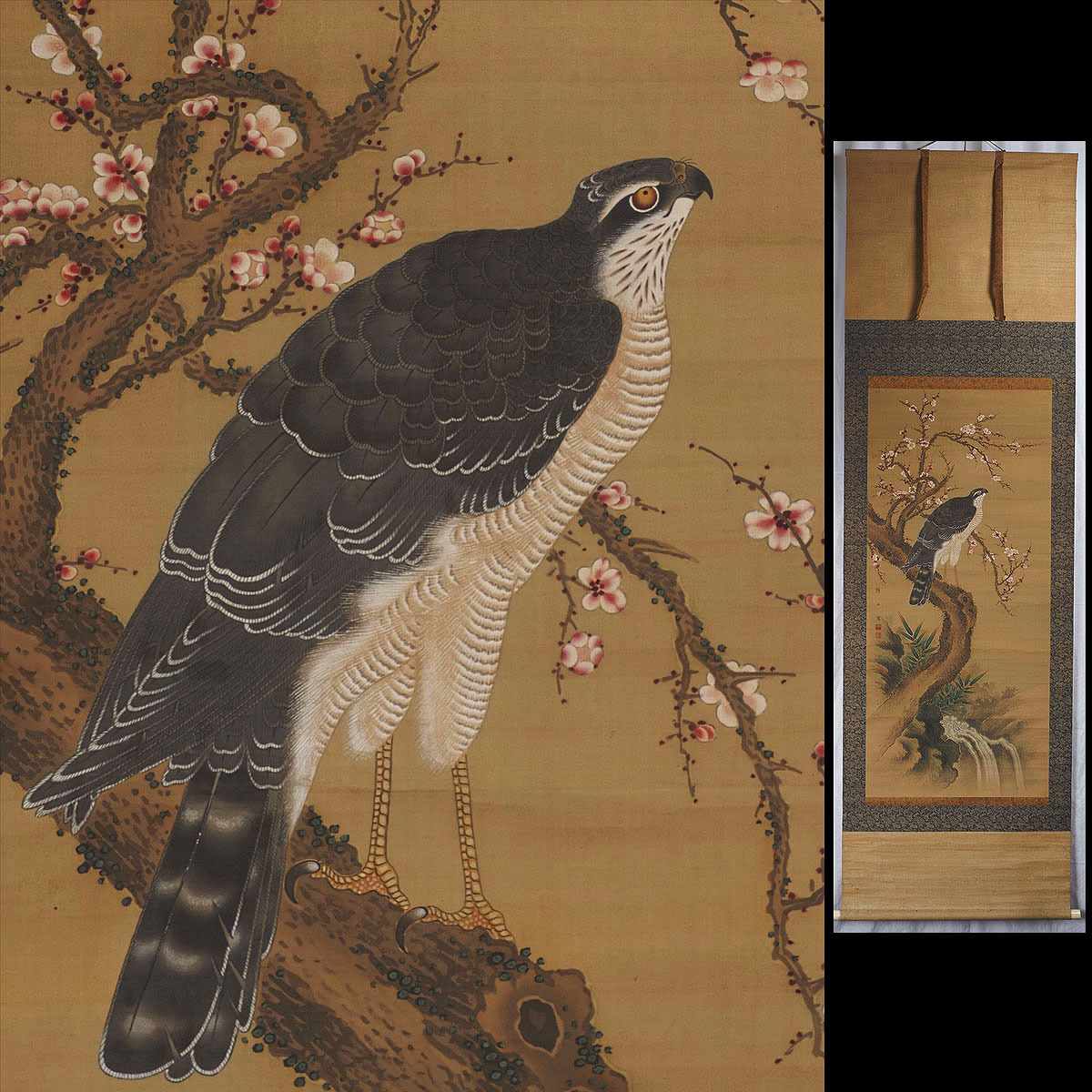 【真作】XH73 旧家初出 在銘 花鳥図 極細密 極彩色 肉筆 紙本 掛軸 / 江戸期 日本画 鷹之図 中国古玩 清代 清朝期