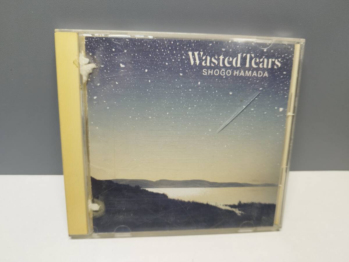 浜田省吾　WASTED TEARS
