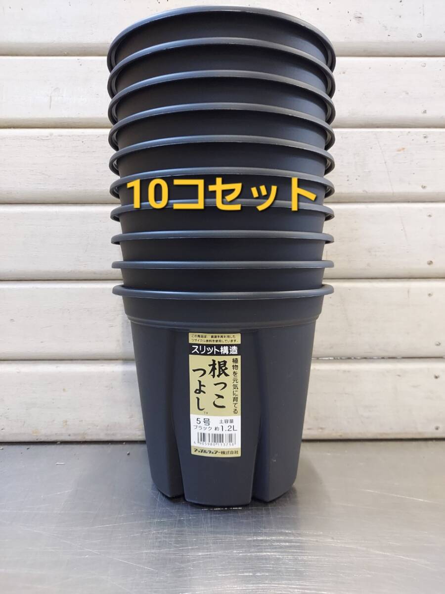 送料無料★セットでお買い得！ 植物の生育環境を整えるスリット構造！アップルウエアー　根っこつよし　５号　１０Ｐ