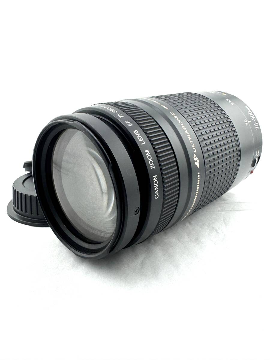 ★良品★Canon キャノン EF 75-300m F4-5.6 II USM★　#435