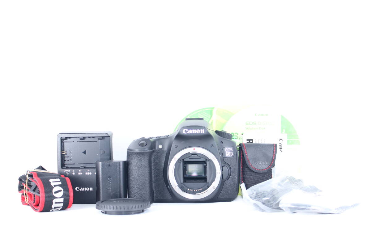 ★超極上★キャノン CANON EOS 60D ボディ★完動★#Z340