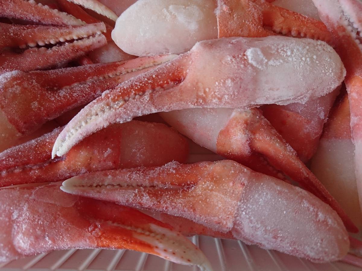 ☆お鍋・天ぷらなどに*　境港産　紅ズワイガニ　爪　２Ｌサイズ　５００ｇ　　冷凍