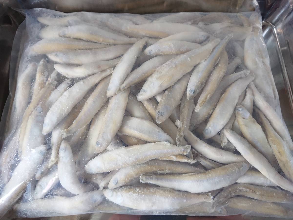 ☆天ぷらなどに*　ワカサギ　　大　　１キロ　　生冷凍