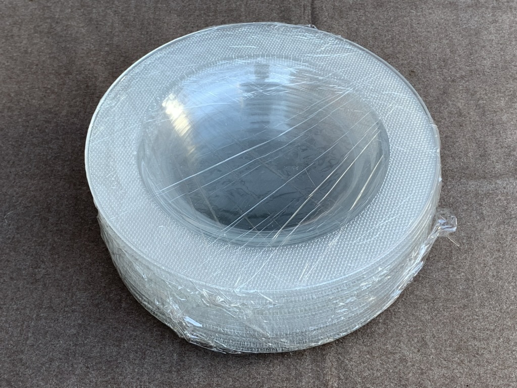 【中古・使用浅】CALDIER VETRI DELLE VENEZIE べトリデレ ベネツィア イタリア ガラス皿 直径28cm 12点セット