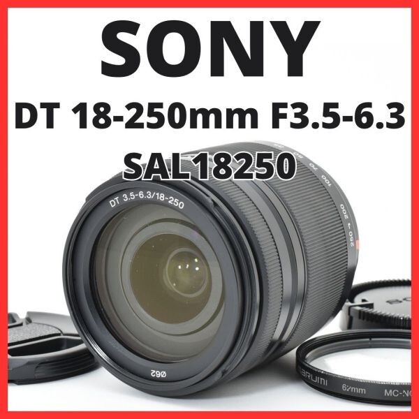 A14[7218E]3 ソニー SONY DT 18-250mm F3.5-6.3 SAL18250