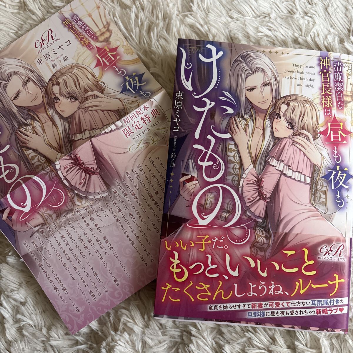 2025.12月新刊　1読　昼も夜もけだもの　束原ミヤコ 送料185 初版　帯付(このサイズの同梱は2冊まで) eロマンスロイヤル