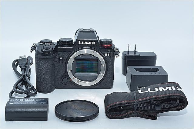 638★良品・ショット数39813回★パナソニック(Panasonic) ルミックス S5 ボディ 小型 軽量モデル ブラック DC-S5-K