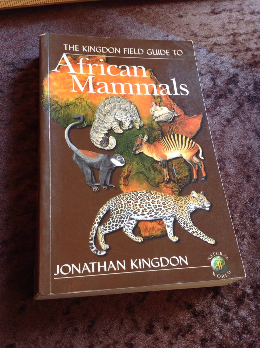 洋書 中古 美本 THE KINGDON FIELD GUIDO TO African Mammals