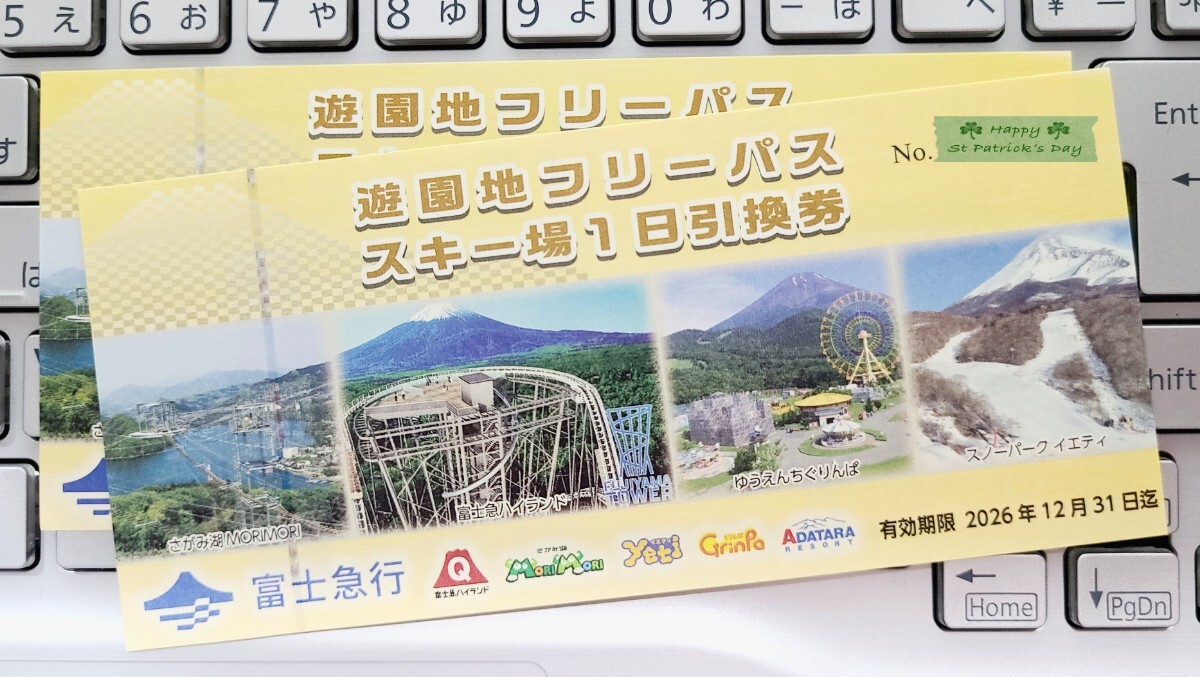 富士急行　株主優待　富士急ハイランド　遊園地フリーパス　1日引換券　1枚　有効期限2026年12月31日まで　　個数2