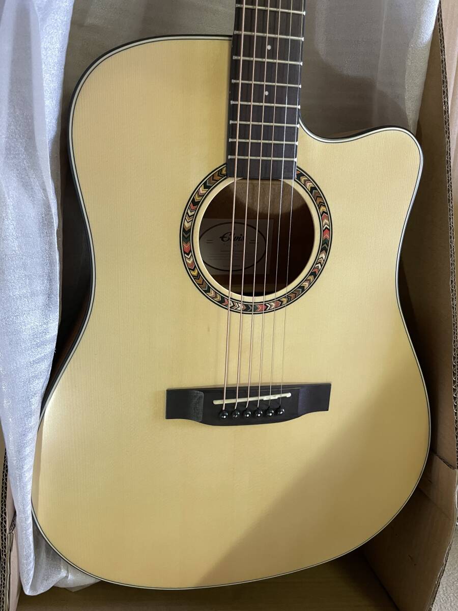 Elvis　アコースティックギター　未使用品　ソフトケース付き　元箱（Elvis名入り段ボール）あり