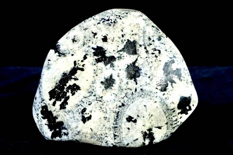 貴重！　観賞用磨き石　菊面石　時計石　 球状閃緑岩　ナポレオン石　鉱物 模様が美しい！　W15×D8×H2　1.66kg　HKE