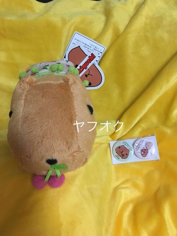 【送料込】カピバラさん さくらんぼ柄パンツぬいぐるみ ＆ ノベルティ缶バッジ2個入り 2点セット