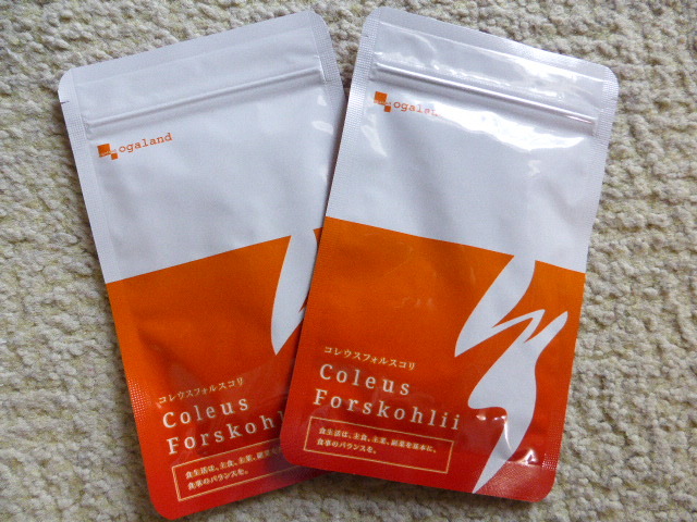 コレウスフォルスコリ　　約２ヵ月分(30粒×2袋)　オーガランド　　水溶性食物繊維 　イヌリン 菊芋　　　送料無