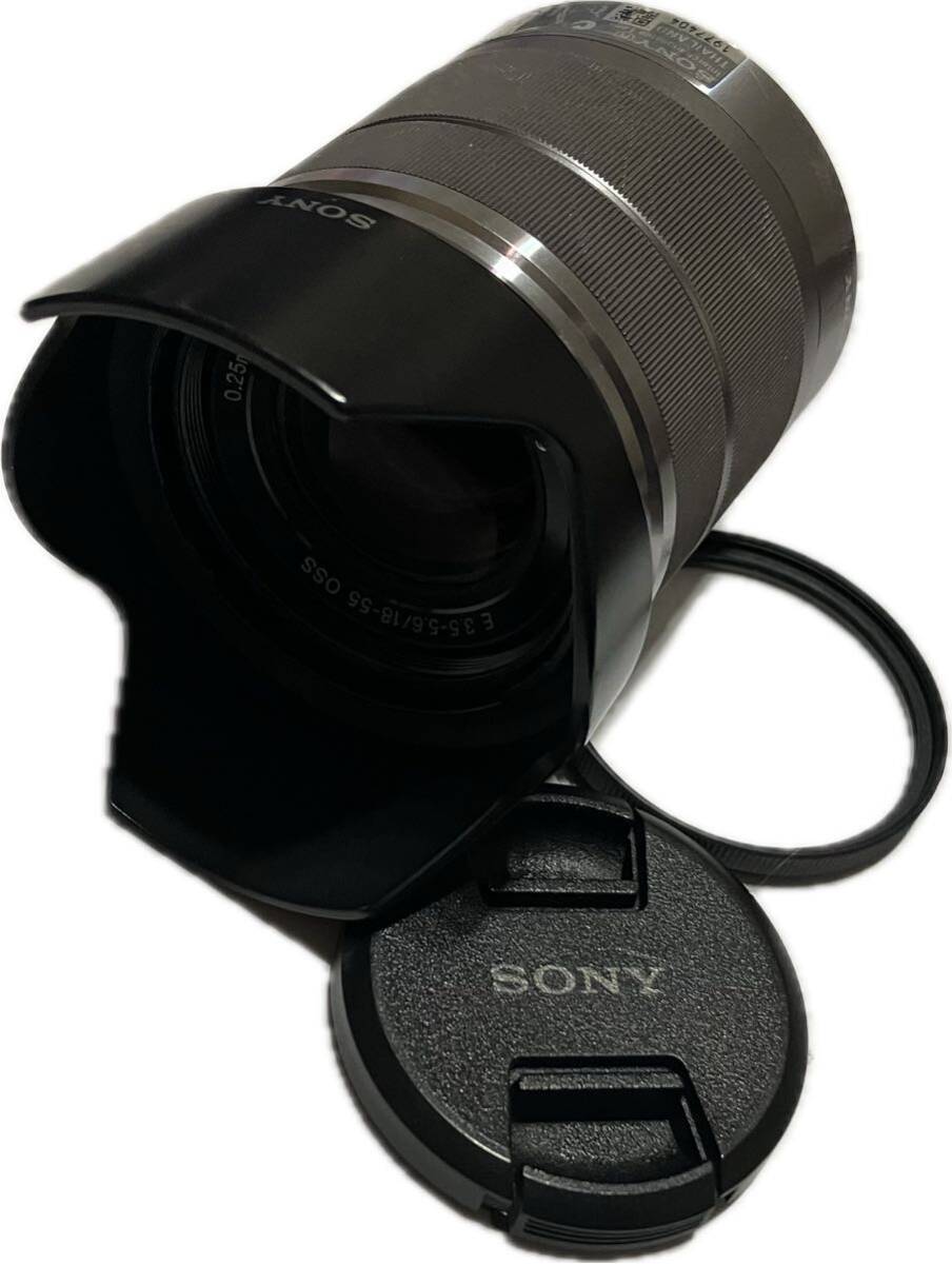 ★極上美品★ フード フィルター付 SONY (ソニー) E 18-55mm F3.5-5.6 OSS SEL1855 シルバー #26610054