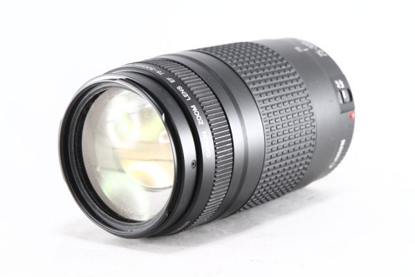 ★特上品★キャノン Canon EF 75-300mm F4-5.6 II★動作OK 綺麗な外観★106660