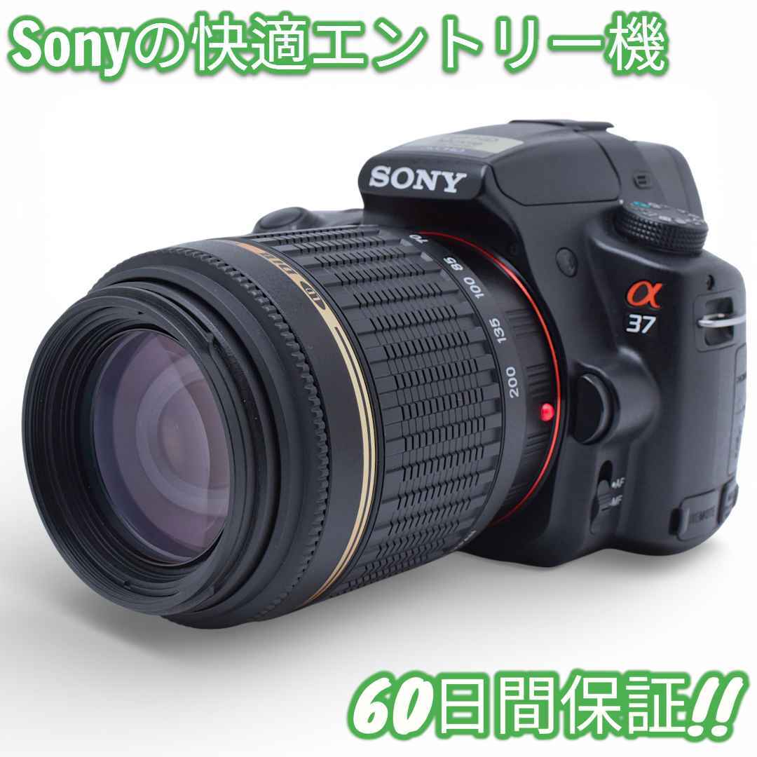 美品 Sony a37 スマホ転送OK 望遠レンズキット #0009