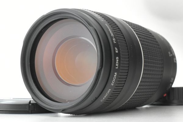【美品】Canon EF 75-300mm f/4-5.6 III Telephoto Zoom Lens キヤノン レンズ EF-TN-JP1923