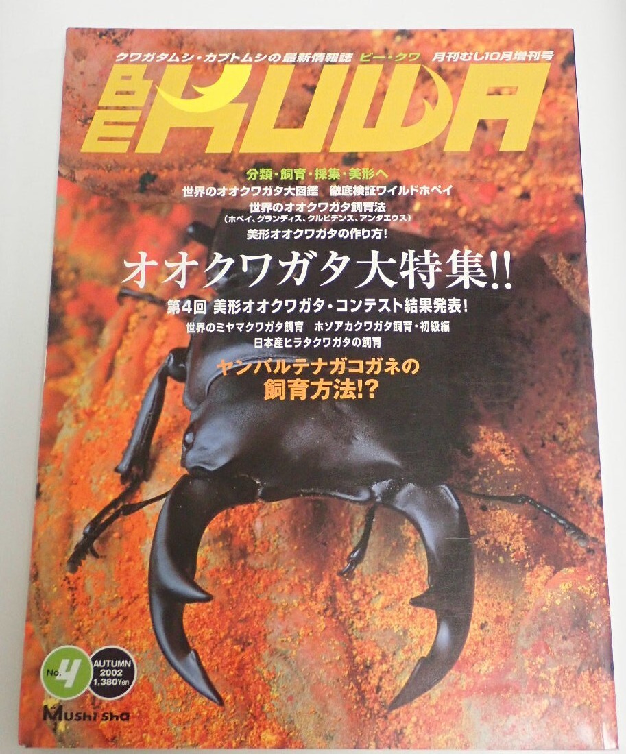 BE KUWA ビークワ No.4■オオクワガタ大特集｜世界のオオクワガタ飼育法／ヤンバルテナガコガネの飼育方法／ホソアカクワガタ飼育初級編 