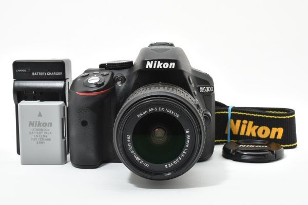 ニコン Nikon D5300 レンズキット 訳あり 撮影可 #5166A1699