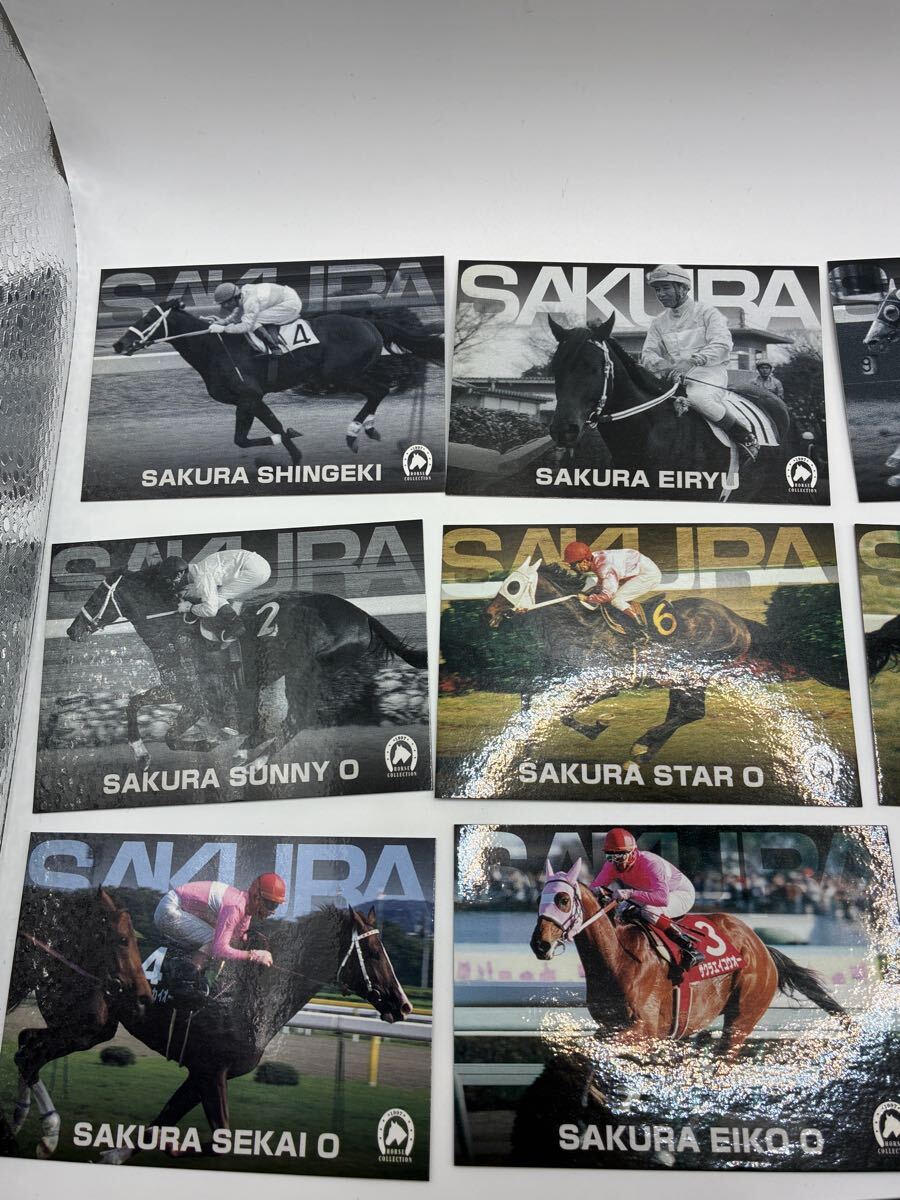 サラブレッドカード　サクラ系統　競馬カード　13枚まとめ売り