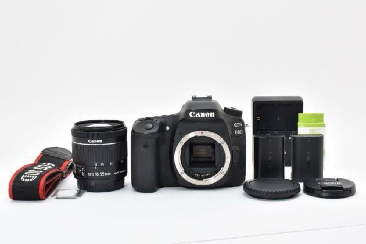 キャノン Canon EOS 80D レンズキット EF-S 18-55mm IS STM 一眼レフ Wi-Fi バリアングル 動作良好 #3293