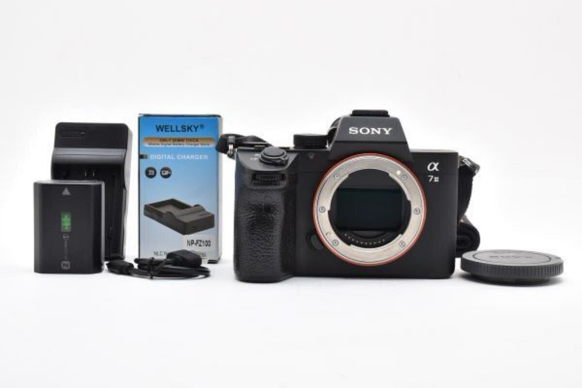 ソニー SONY α7 III ILCE-7M3 ボディ フルサイズ ミラーレス 4K動画 手ブレ補正 動作良好 #3121