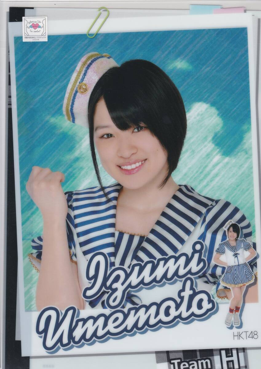 即決　HKT48　「個別クリアファイル（梅本泉）」