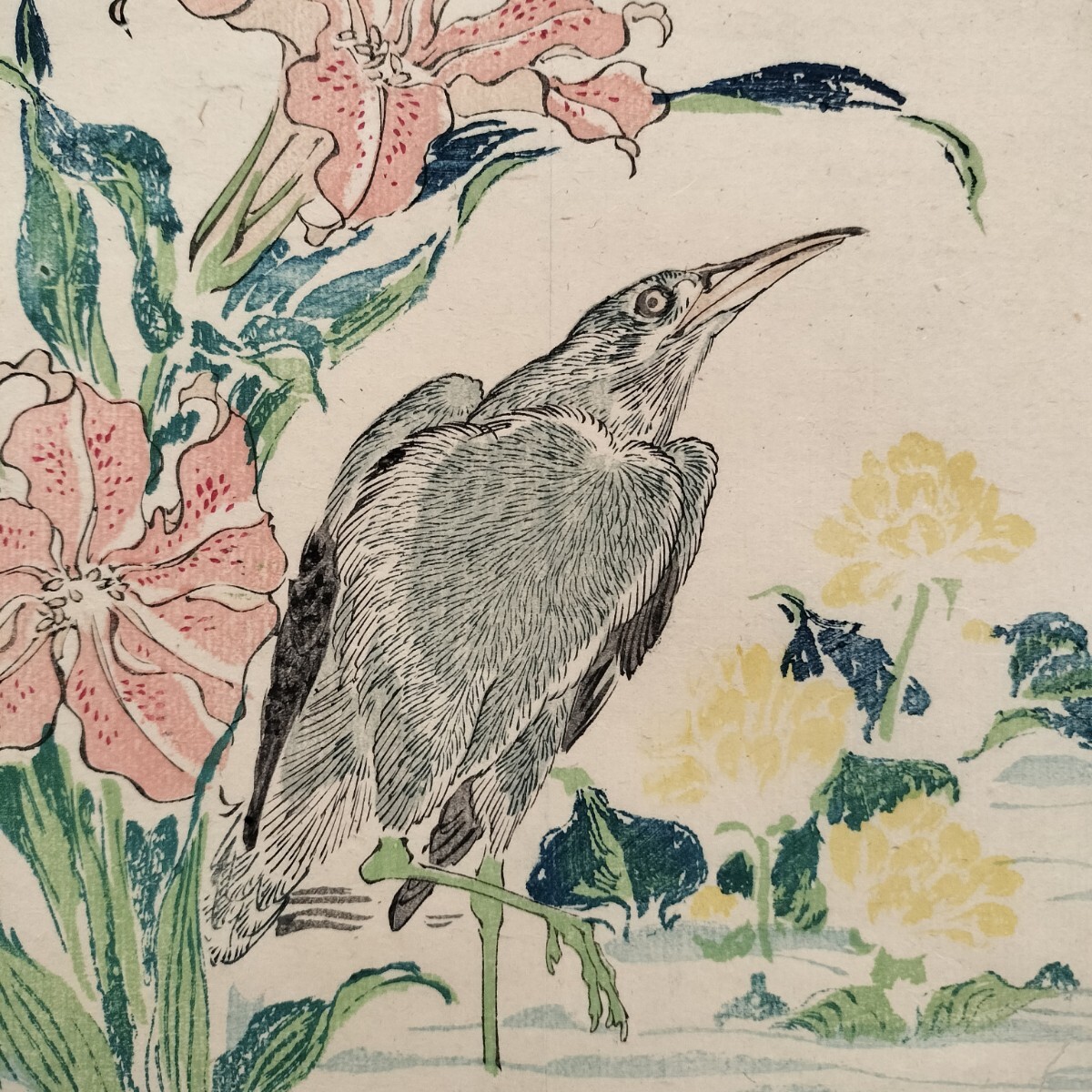 明治期/真作 河鍋暁斎「暁斎書譜 河鍋洞郁図」本物浮世絵木版画 花鳥絵 錦絵 中判 台紙貼り