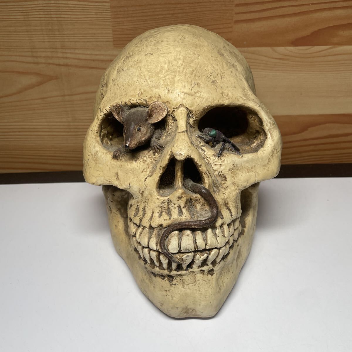 骸骨 スカル ドクロ 置物　貯金箱　レトロ　当時物　ヴィンテージ　アンティーク ガイコツ