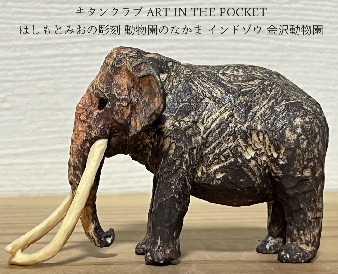 キタンクラブ ART IN THE POCKET はしもとみおの彫刻 動物園のなかま インドゾウ 金沢動物園 フィギュア 中古 約6.5×約4×約3.5cm ゾウ