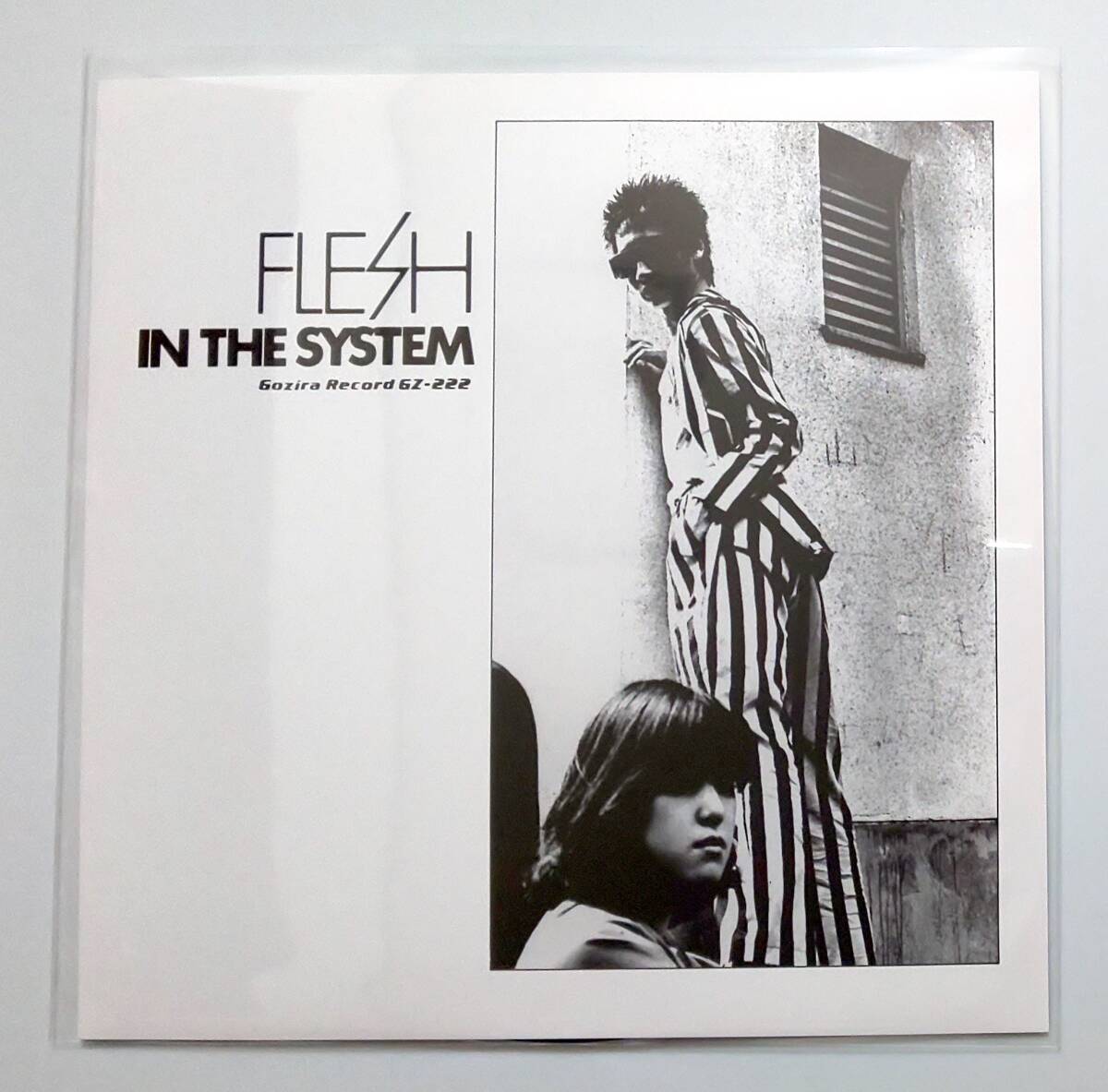 Flesh おきまりの午後 / In The System 7" ゴジラレコード Gozira Records GZ222 東京ロッカーズ/Friction/Mr. Kite/高木完/恒松正敏