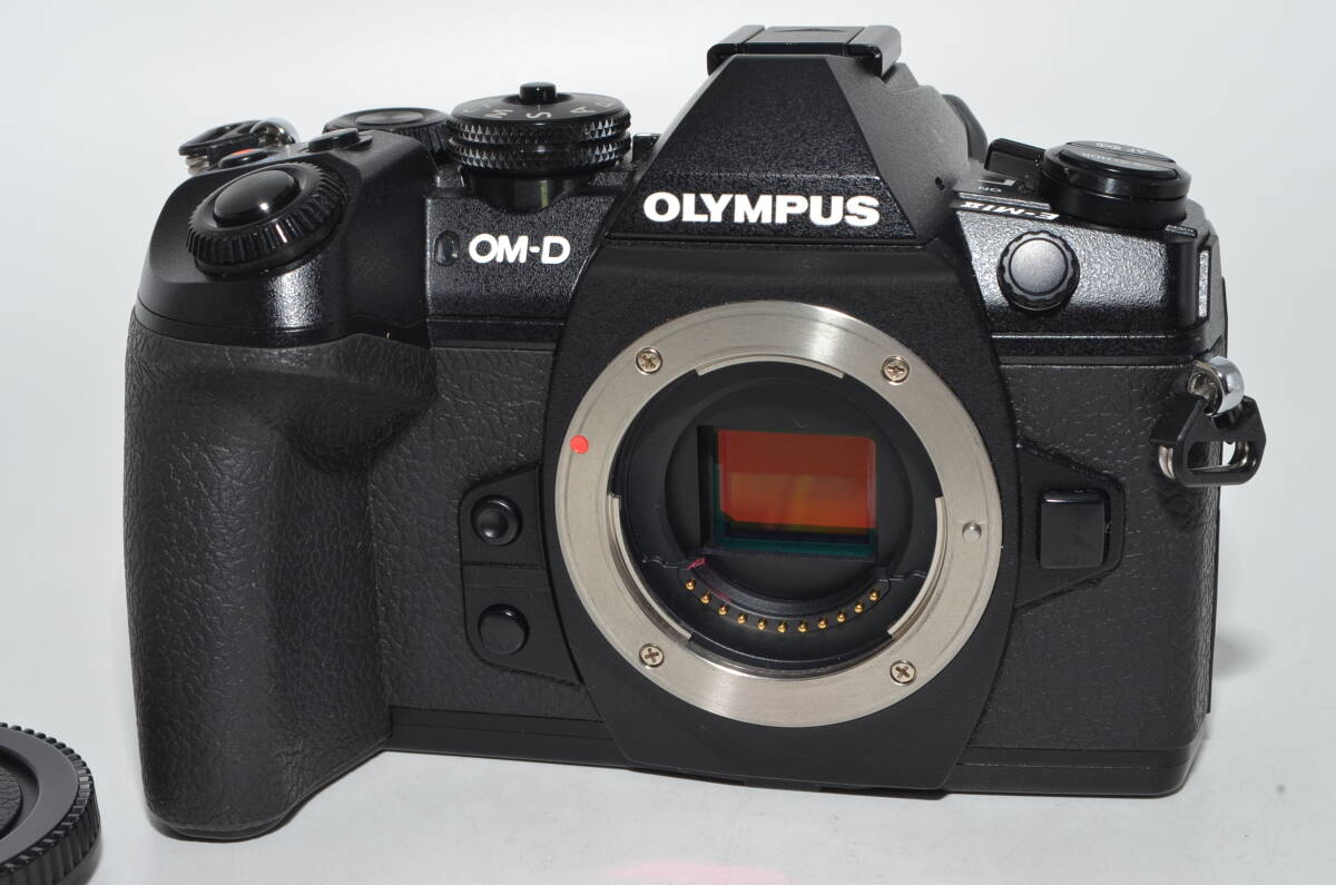 260019★ほぼ新品★OLYMPUS ミラーレス一眼 OM-D E-M1 MarkII ボディー