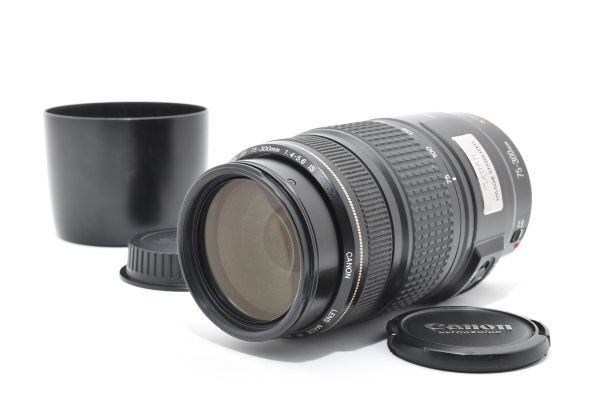 動作確認済 Canon Zoom Lens EF 75-300mm F4-5.6 IS USM + ET-64II フード付 手ブレ補正 望遠ズームレンズ / キヤノン EF Mount ※1 #1946