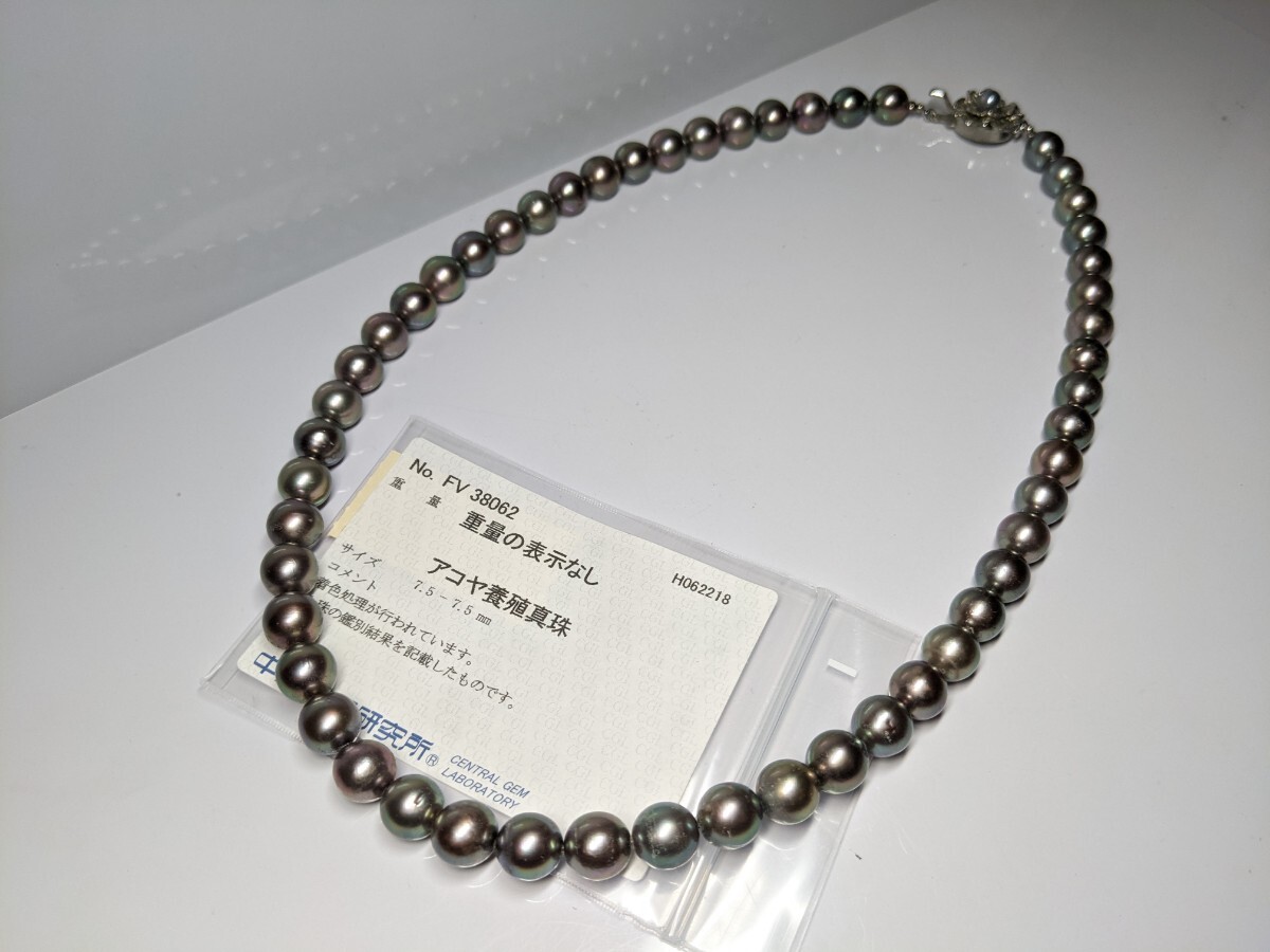 アコヤ養殖真珠 黒真珠 ネックレス パール 約7.5-7.5㎜ 金具 シルバー silver 着色処理 中央宝石研究所 ブラックパール