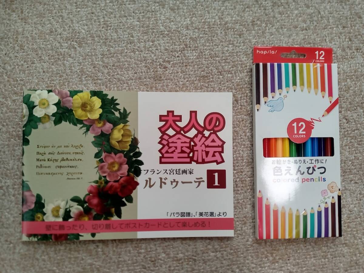 ★最後の1セット!★ ぬりえ ぬり絵【大人の塗り絵 フランス宮 洋画 1 ＆ 色鉛筆 12色】花 フラワー バラ 趣味 ホビー 認知症予防 脳トレ 