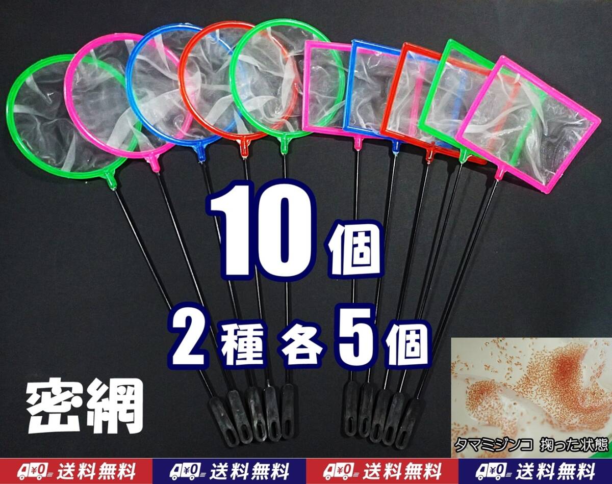 【送料込】密網　10個（丸5個・角5個）　水槽用品 　即決　　ミジンコ メダカ針子 シュリンプ等用に　ゾウリムシは掬えません　ネット 10本