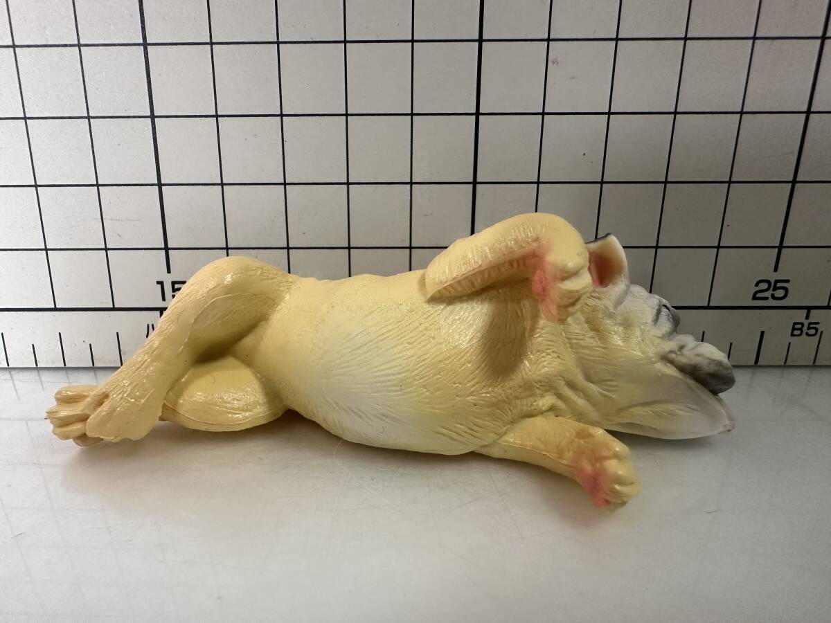 プチリアルマスコット フレンチブルドッグ　ブルドッグ　ブルドック　犬　フィギュア