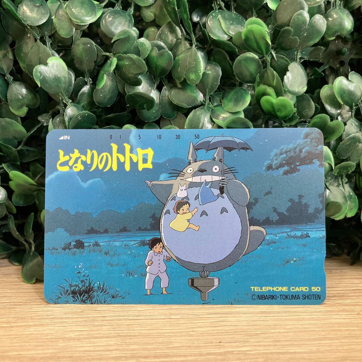 6-11【八】【LPP】スタジオジブリ 宮崎駿 となりのトトロ テレホンカード テレカ 50度数 未使用
