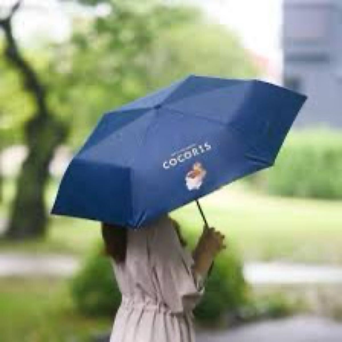 【未使用】　折りたたみ傘　晴雨兼用　ココリス