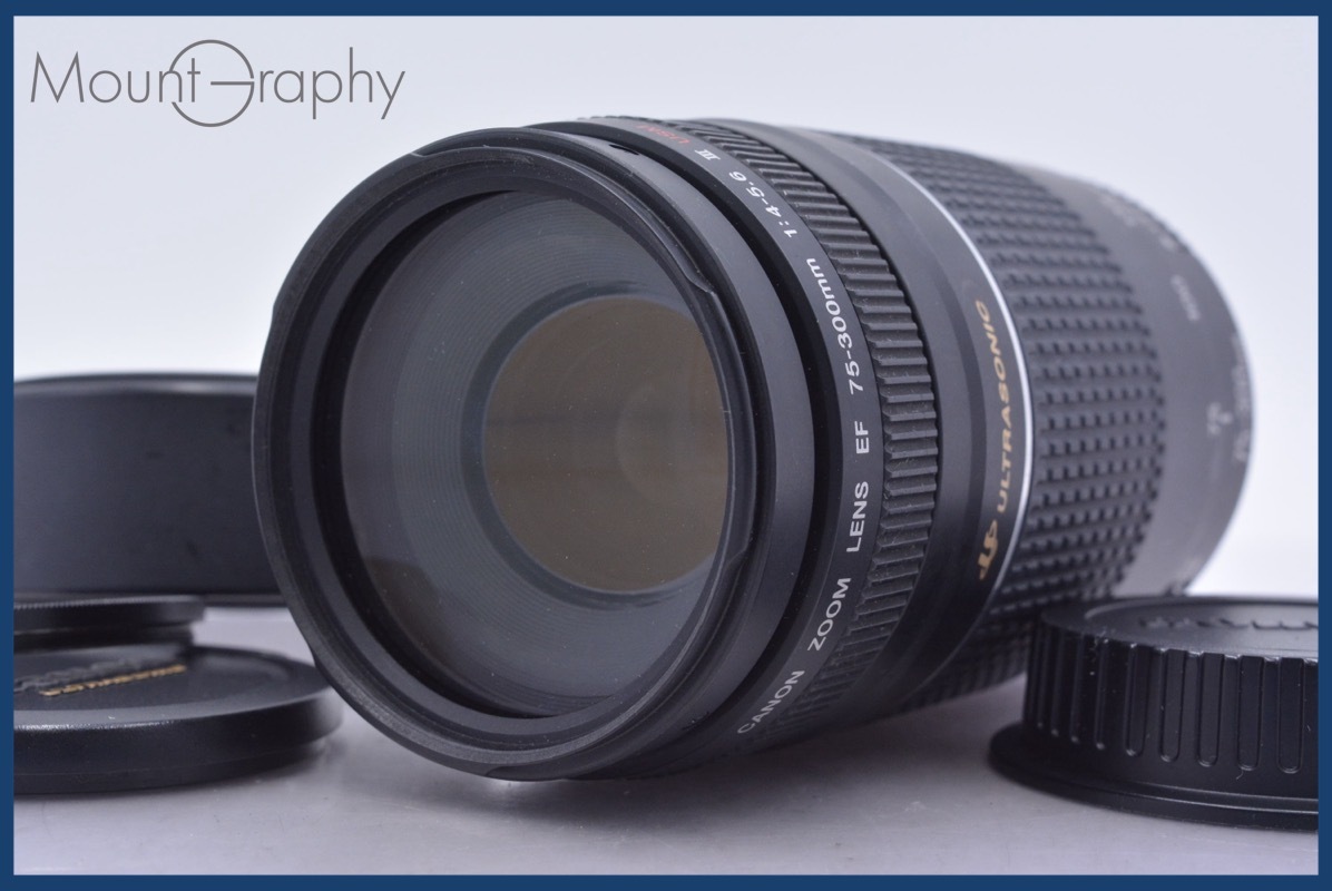 【動作保証】 キヤノン Canon EF 75-300mm F4-5.6 III USM 前後キャップ&レンズフィルター&フード付 同梱無料 #am3968