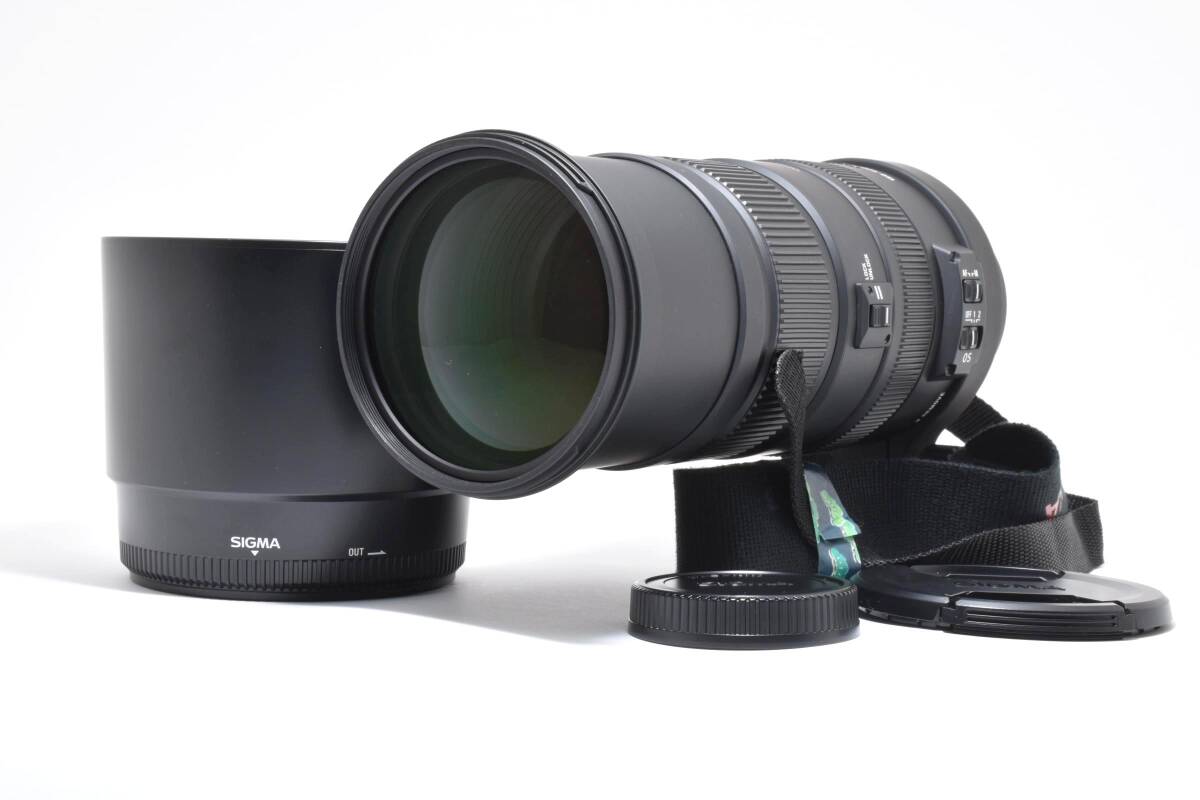 ★極上美品★ SIGMA シグマ APO 150-500mm F5-6.3 DG OS HSM SAマウント #4356W02574#087