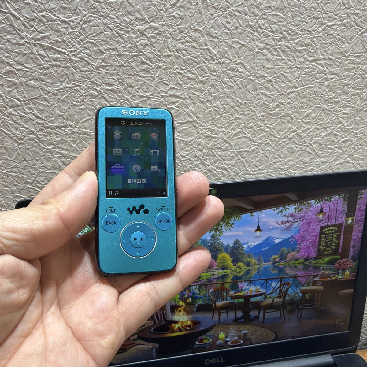 SONY ソニー ウォークマン WALKMAN NWーS636F 動作品