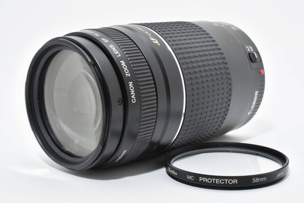 ★外観美品★ キヤノン CANON EF 75-300mm F4-5.6 III USM OL3866 #11