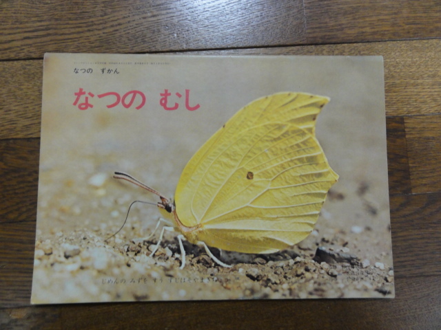 昭和レトロ　なつのずかん　なつのむし