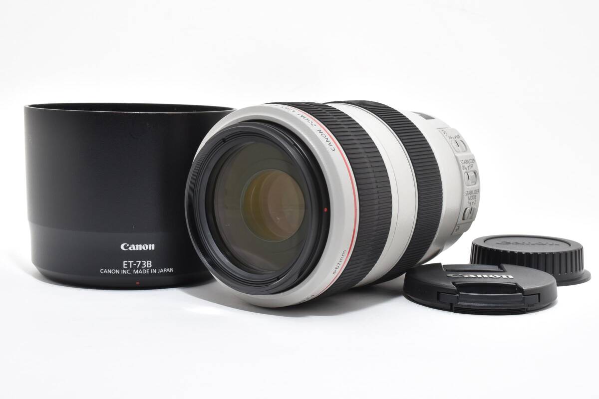 Canon EF 70-300mm f/4-5.6 L IS USM L0490
