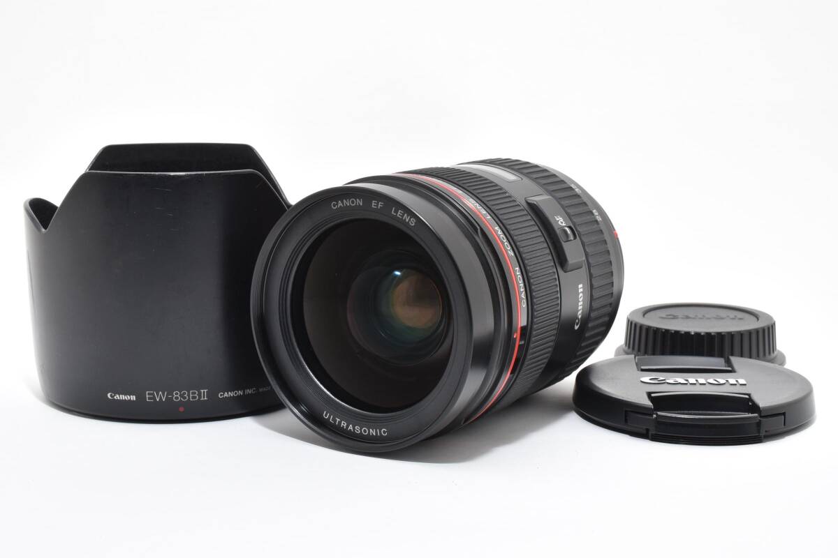 Canon EF 28-70mm f/2.8 L USM L0489