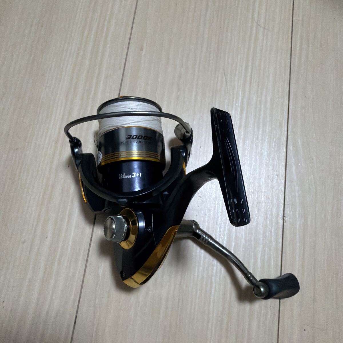 PEーCASTER 3000S