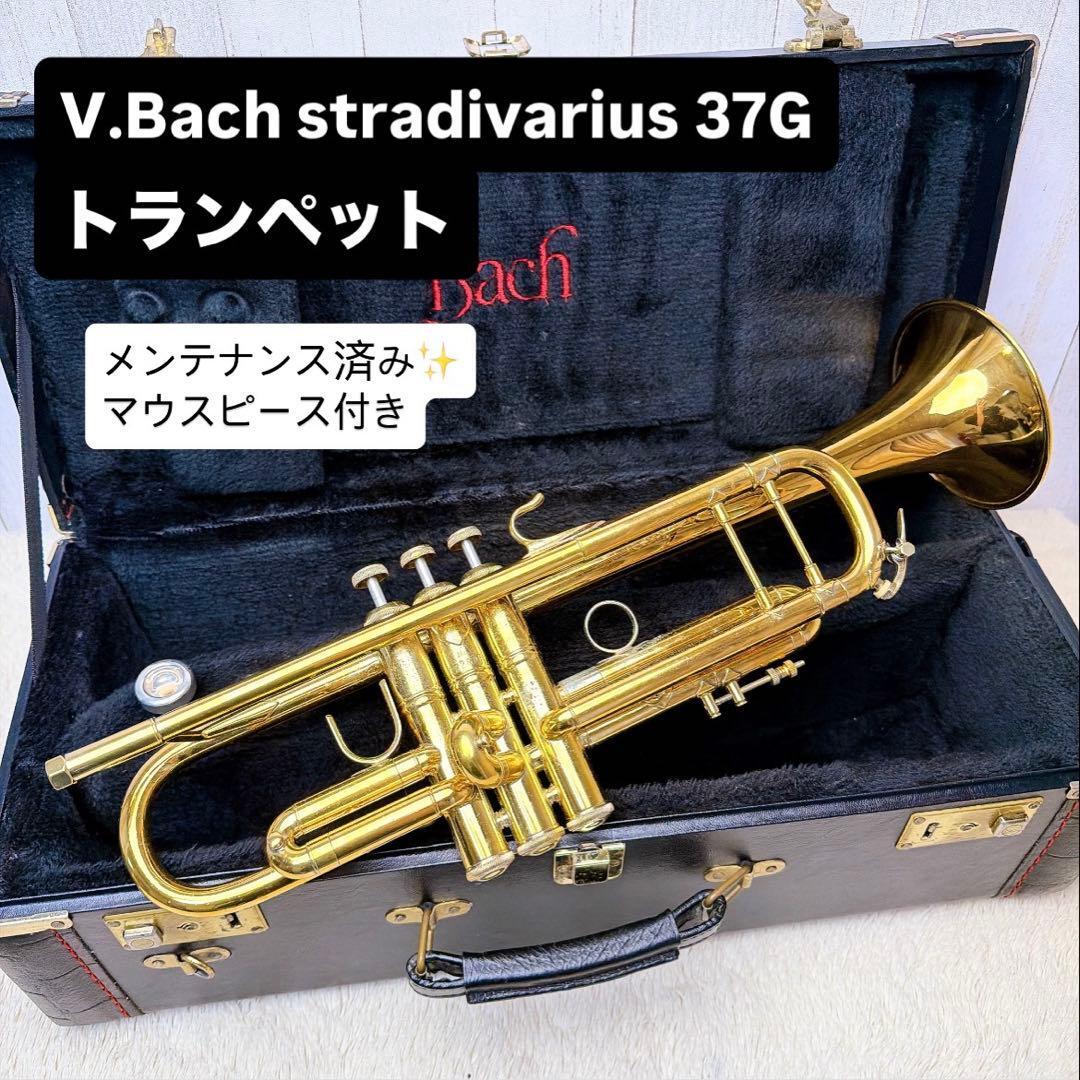 V.Bach stradivarius 37G トランペット マウスピース付き