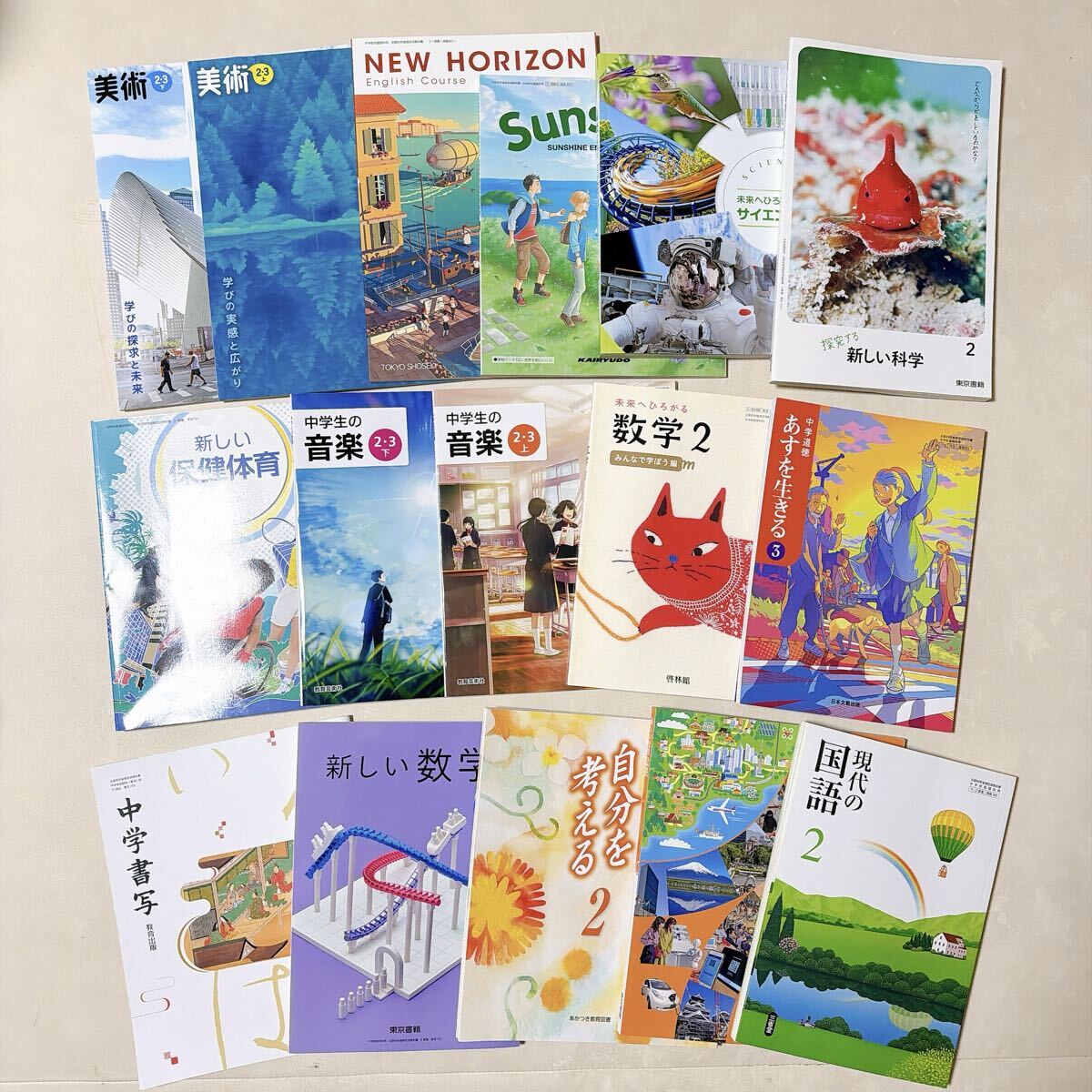 ほぼ未使用 中学校 教科書 まとめ売り 16冊セット 名前未記入 中学 国語 英語 数学 美術 音楽 保健体育 書写 科学 大量 まとめて 