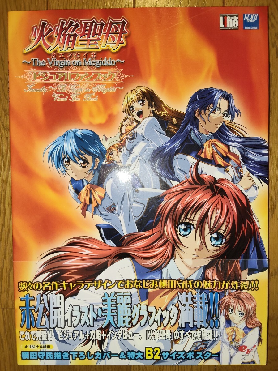 火焔聖母 ビジュアルファンブック 初版本